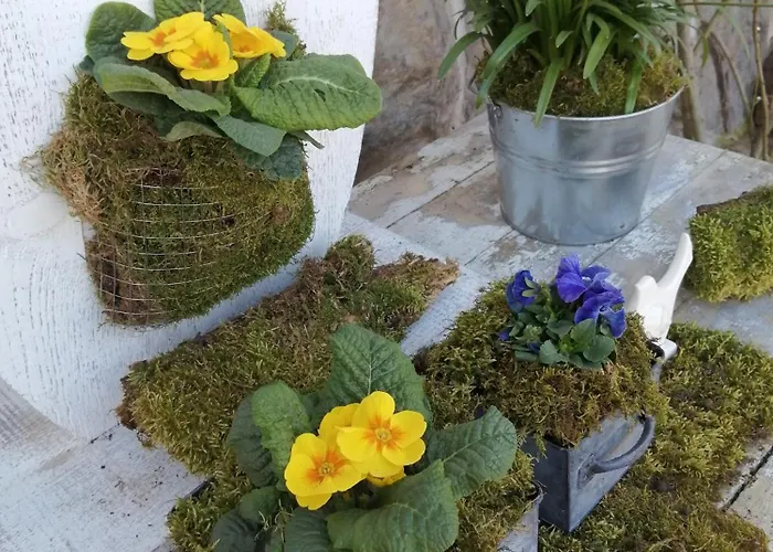 Dom wakacyjny Taszówka